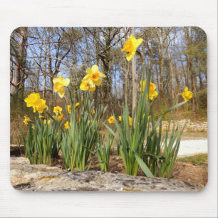 Alfombrilla De Ratón Daffodils en la ratonera de Pascua