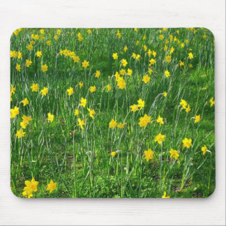 Alfombrilla De Ratón Daffodils/Narcissus