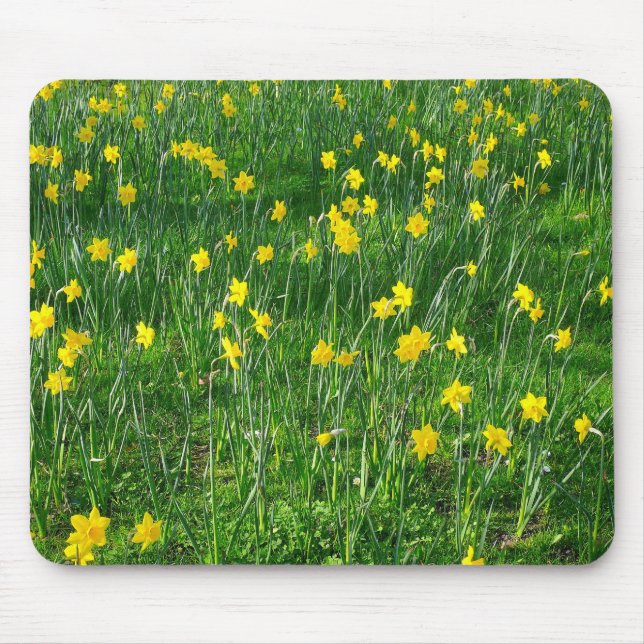 Alfombrilla De Ratón Daffodils/Narcissus (Frente)