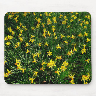 Alfombrilla De Ratón Daffodils/Narcissus