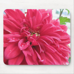 Alfombrilla De Ratón dahlia