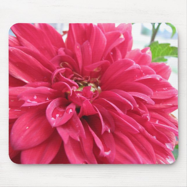 Alfombrilla De Ratón dahlia (Frente)