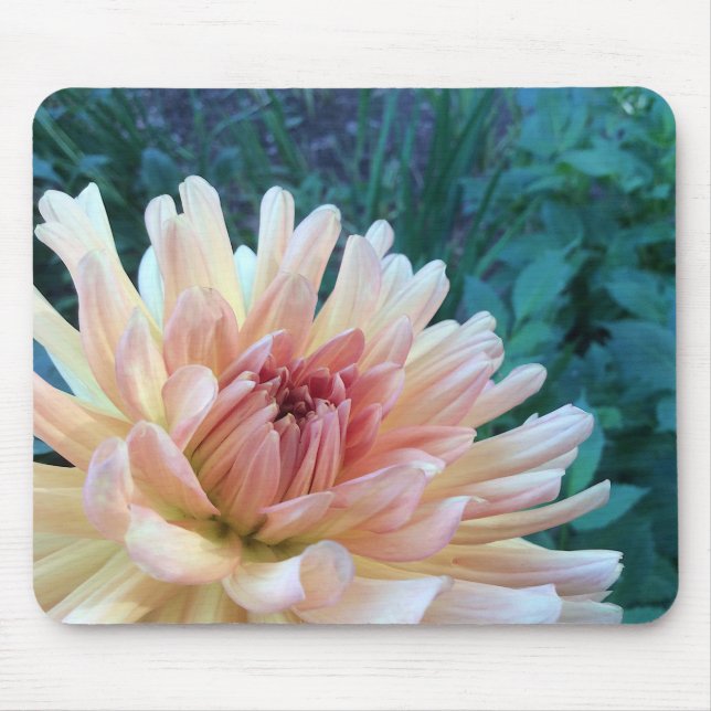 Alfombrilla De Ratón Dahlia B: Amarillo y salmón — (Frente)