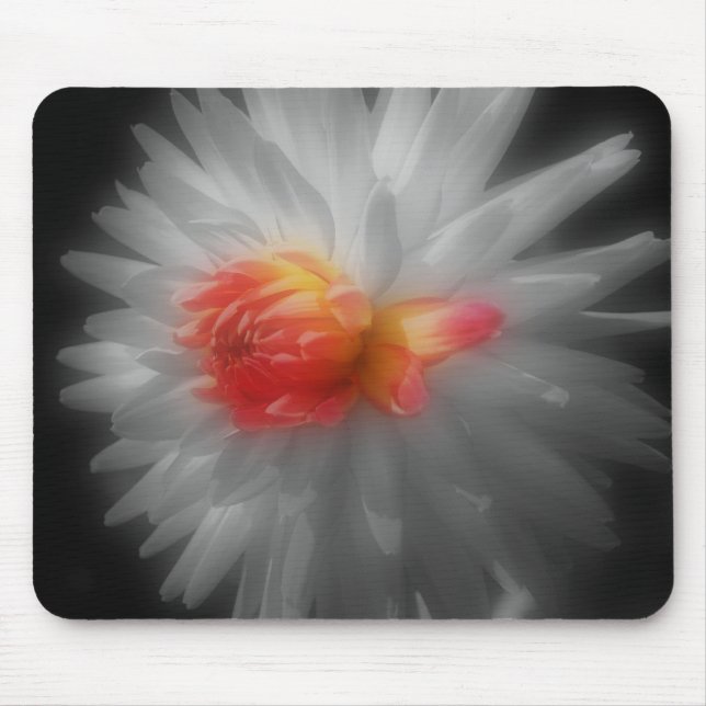 Alfombrilla De Ratón Dahlia cierra Flor Negro Mousepad Blanco (Frente)