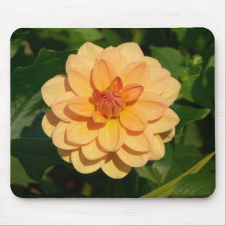 Alfombrilla De Ratón Dahlia 'David Howard
