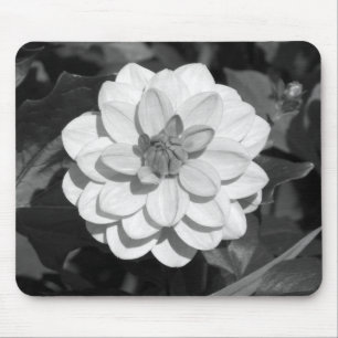 Alfombrilla De Ratón Dahlia 'David Howard' B&W