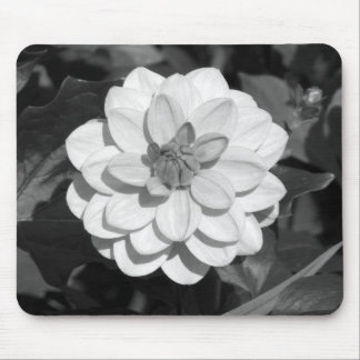 Alfombrilla De Ratón Dahlia 'David Howard' B&W