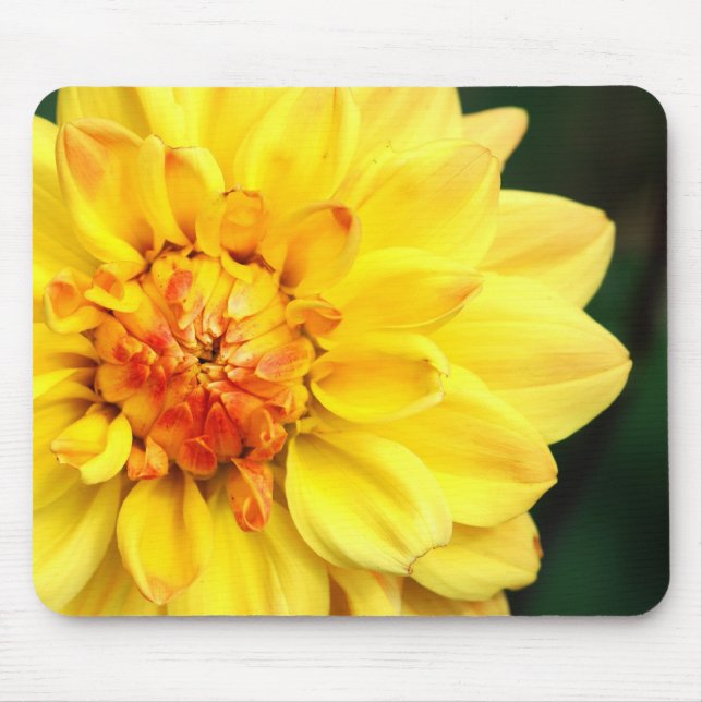 Alfombrilla De Ratón Dahlia Mousepad amarillo (Frente)