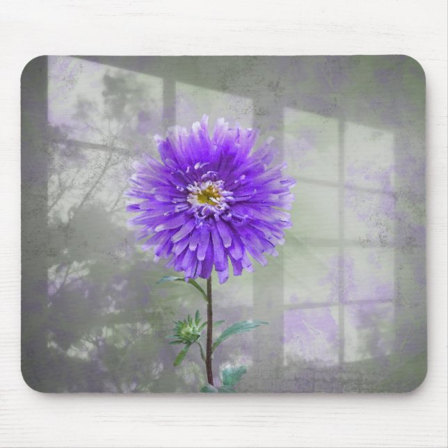 Alfombrilla De Ratón Dahlia Púrpura En La Sombra De La Ventana (Frente)