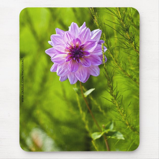 Alfombrilla De Ratón Dahlia rosa, Mousepad con efecto al cuadrante (Frente)