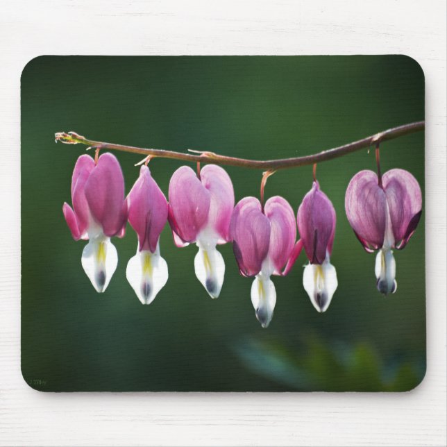 Alfombrilla De Ratón Dainty Hearts Mousepad (Frente)