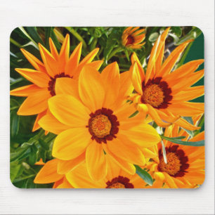 Alfombrilla De Ratón Daisies Africanos Mousepad