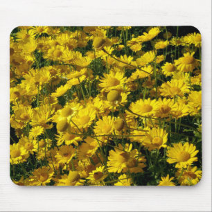 Alfombrilla De Ratón Daisies de la Corona / Coronario de crisantemo