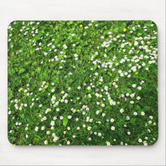 Alfombrilla De Ratón Daisies en la hierba