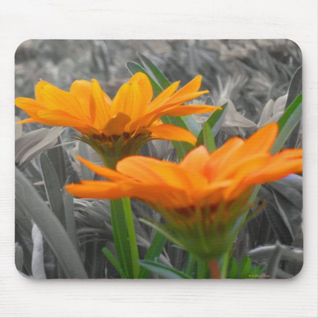 Alfombrilla De Ratón Daisies Mousepad (Frente)