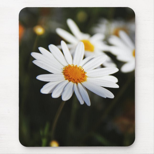 Alfombrilla De Ratón Daisy (Frente)