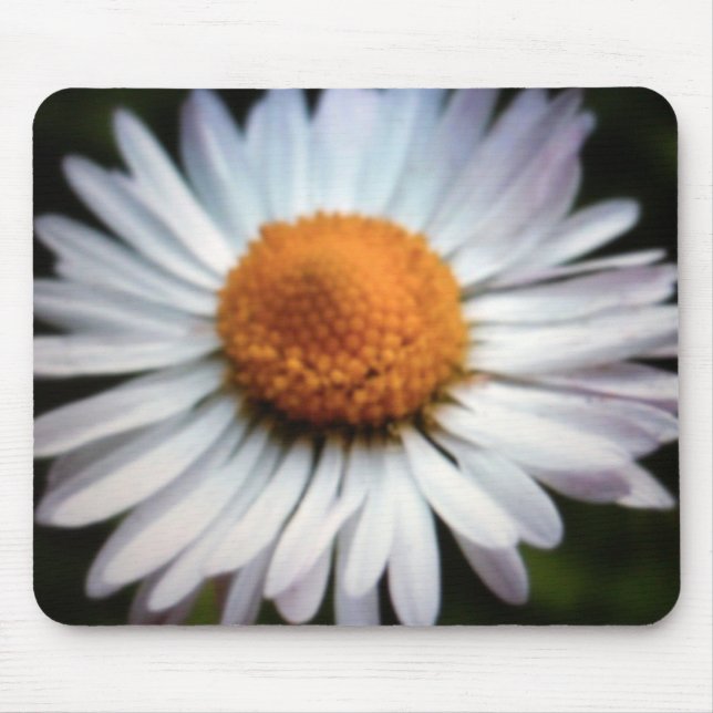 Alfombrilla De Ratón Daisy 1 Mousepad (Frente)