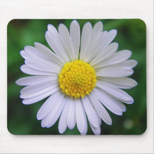 Alfombrilla De Ratón Daisy amarillo-blanco brillante