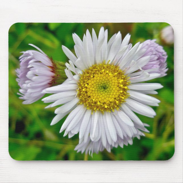Alfombrilla De Ratón Daisy Fleabane Wildflower Mousepad (Frente)