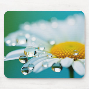 Alfombrilla De Ratón Daisy Flower Petal Nature Serene Calle