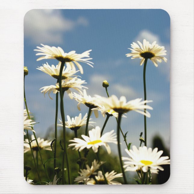 Alfombrilla De Ratón Daisy Flowers Mousepad (Frente)