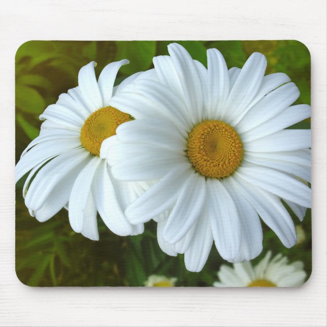 Alfombrilla De Ratón Daisy Flowers Mousepad Daisy Computer Gifts (Frente)