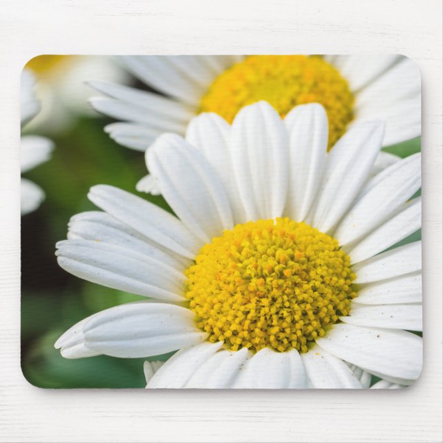 Alfombrilla De Ratón Daisy Mouse Pad (Frente)