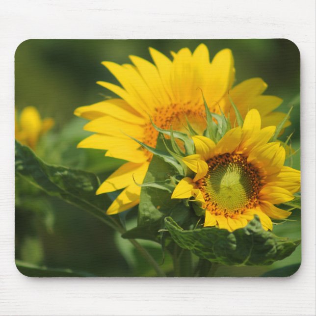 Alfombrilla De Ratón Daisy Mousepad - HAMbyWhiteGlove (Frente)