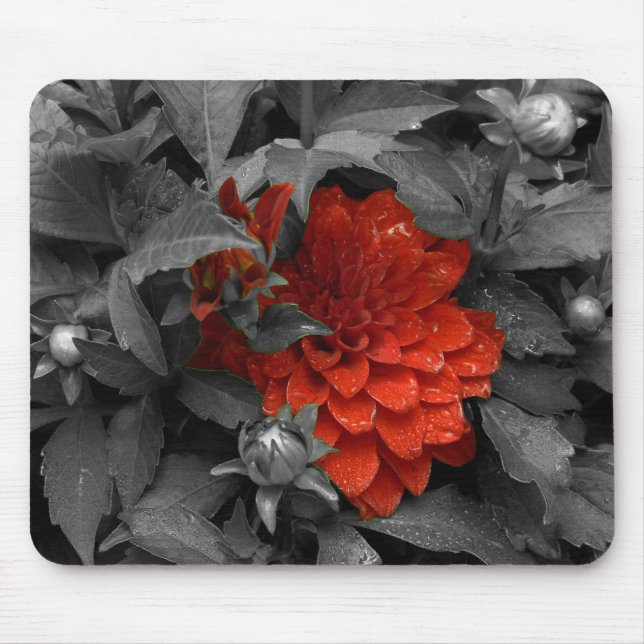 Alfombrilla De Ratón Dalia-mousepad (Frente)