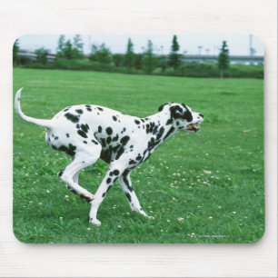 Alfombrilla De Ratón Dalmatian