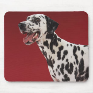Alfombrilla De Ratón Dalmatian