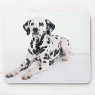 Alfombrilla De Ratón Dalmatian 4