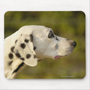 Alfombrilla De Ratón Dalmatian 4
