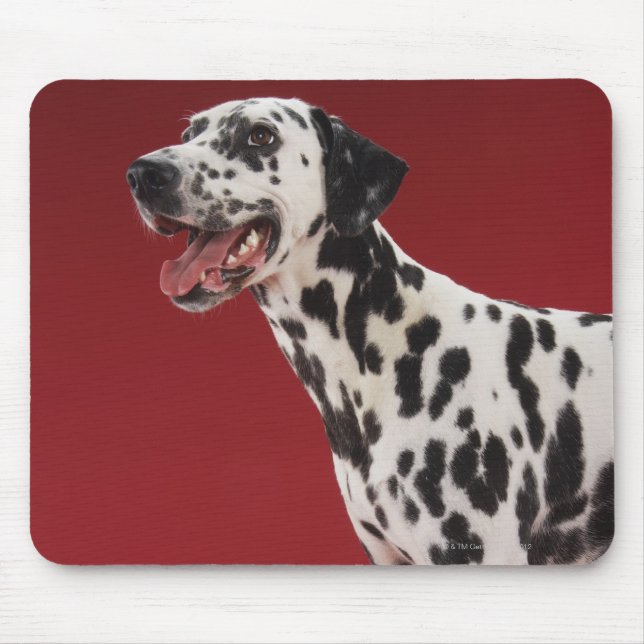 Alfombrilla De Ratón Dalmatiano (Frente)