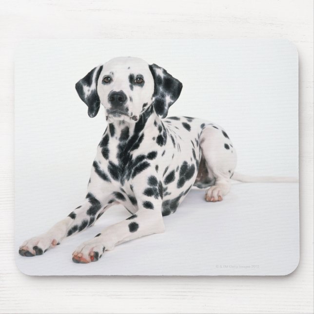 Alfombrilla De Ratón Dalmatiano 4 (Frente)