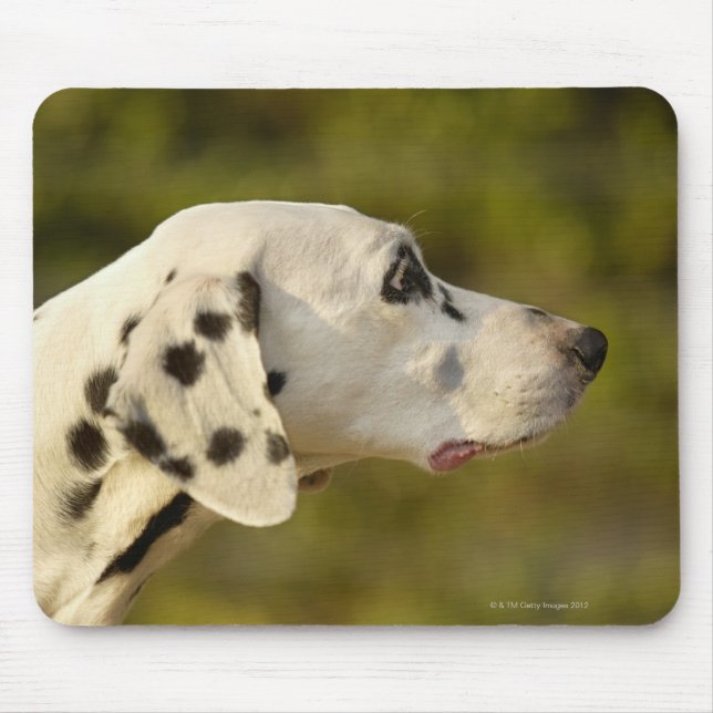 Alfombrilla De Ratón Dalmatiano 4 (Frente)