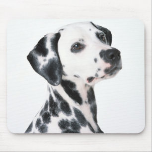 Alfombrilla De Ratón Dalmation