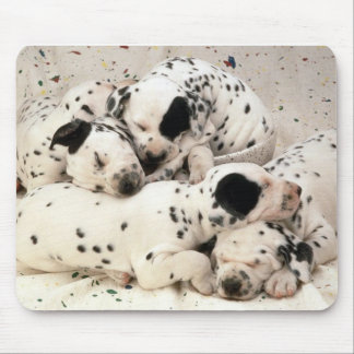 Alfombrilla De Ratón Dalmations