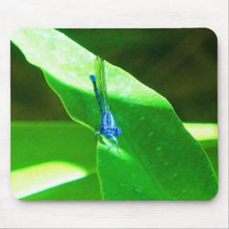 Alfombrilla De Ratón Damselfly