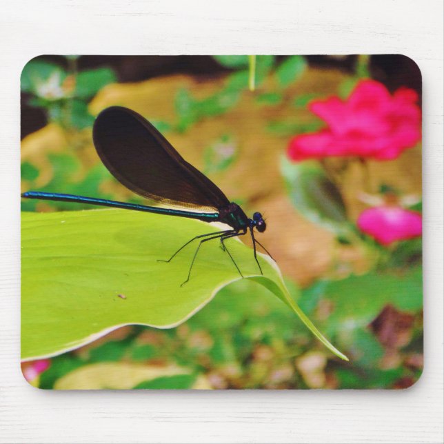 Alfombrilla De Ratón Damselfly y Rosa (Frente)