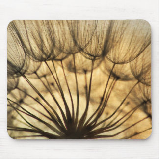 Alfombrilla De Ratón Dandeilons