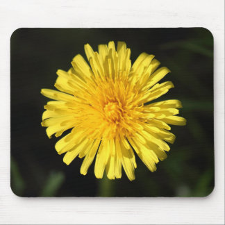 Alfombrilla De Ratón Dandelion