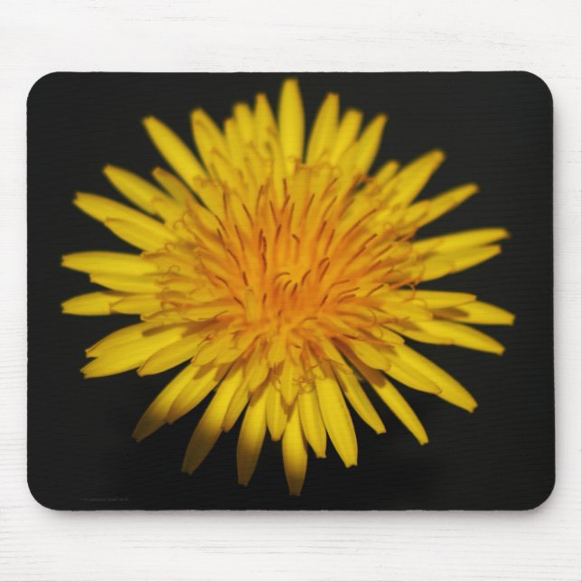 Alfombrilla De Ratón Dandelion Flower mpcna (Frente)