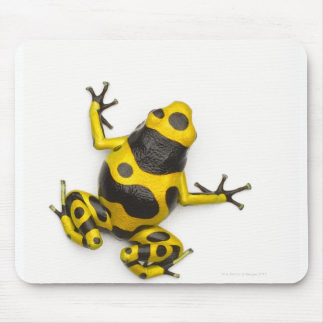 Alfombrilla De Ratón Dart Frog (Frente)