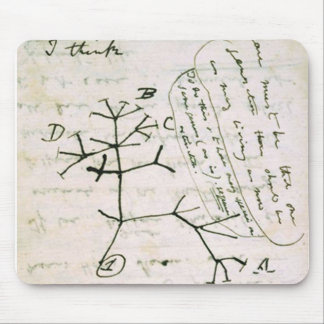 Alfombrilla De Ratón darwin