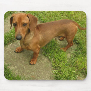 Alfombrilla De Ratón Daschund Mousepad