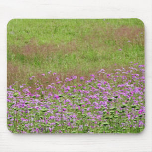 Alfombrilla De Ratón Daucus carota creciendo