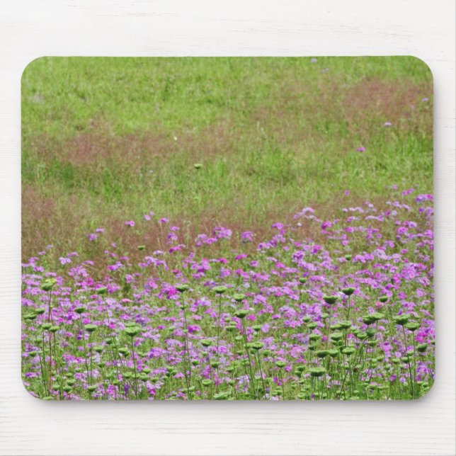 Alfombrilla De Ratón Daucus carota creciendo (Frente)