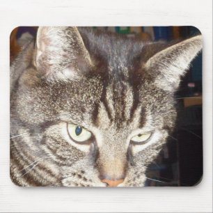 Alfombrilla De Ratón Dave te está vigilando Mousepad