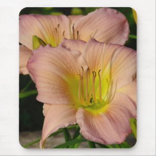 Alfombrilla De Ratón Daylillies